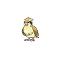 pidgey — ultra sun ultra moon