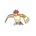 pidgeotto — ultra sun ultra moon