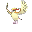 pidgeot — ultra sun ultra moon