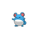 marill — ultra sun ultra moon