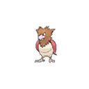 spearow — ultra sun ultra moon