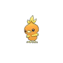 torchic — ultra sun ultra moon