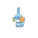 mudkip — ultra sun ultra moon