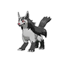 mightyena — ultra sun ultra moon