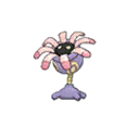 lileep — ultra sun ultra moon