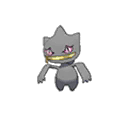 banette — ultra sun ultra moon