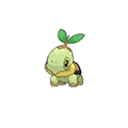turtwig — ultra sun ultra moon