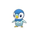 piplup — ultra sun ultra moon