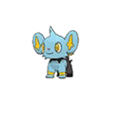 shinx — ultra sun ultra moon