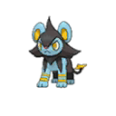 luxio — ultra sun ultra moon