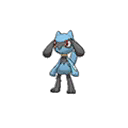 riolu — ultra sun ultra moon