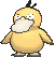 psyduck — ultra sun ultra moon