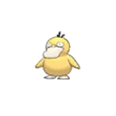psyduck — ultra sun ultra moon