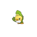 sewaddle — ultra sun ultra moon