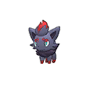 zorua — ultra sun ultra moon