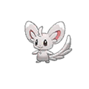 minccino — ultra sun ultra moon