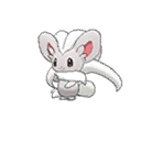 cinccino — ultra sun ultra moon