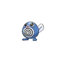 poliwag — ultra sun ultra moon