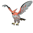 talonflame — ultra sun ultra moon