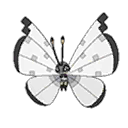 vivillon — ultra sun ultra moon