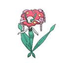 florges — ultra sun ultra moon