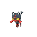 litten — ultra sun ultra moon