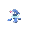 popplio — ultra sun ultra moon
