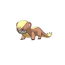 yungoos — ultra sun ultra moon