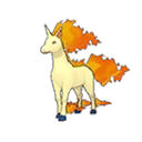 rapidash — ultra sun ultra moon