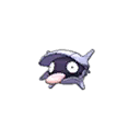 shellder — ultra sun ultra moon