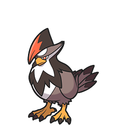 staraptor — brilliant diamond shining pearl