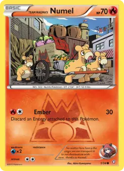 Numel da Equipe Magma